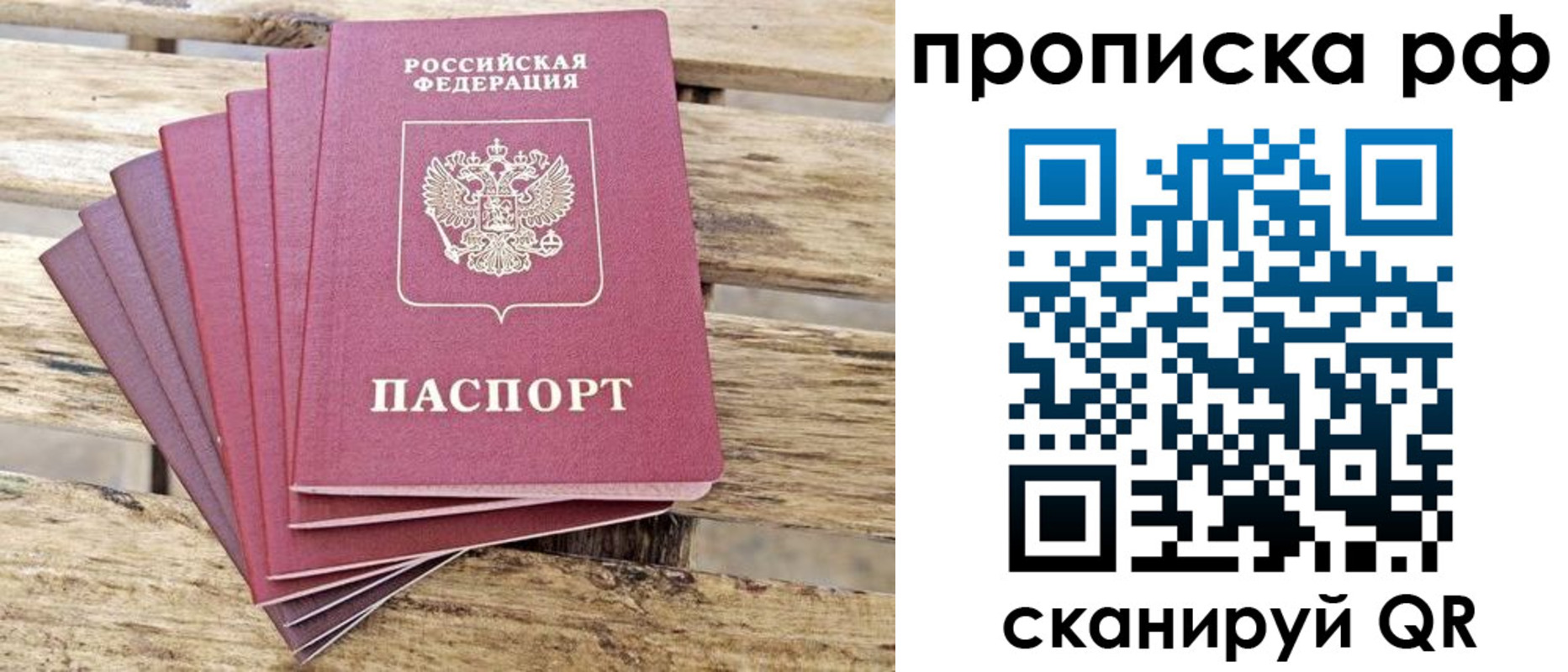 прописка гарантия в Ермолино